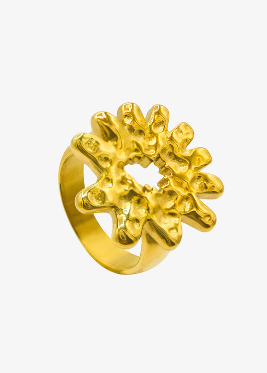 Bague météorite